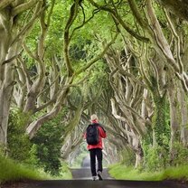 MU's historic South Campus