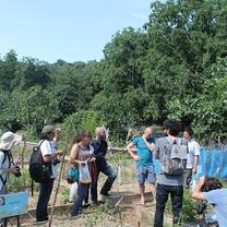 Summer Course in Turkey: Urban Political Ecology on the Road
