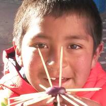 IPSL's Service-Learning in Cusco, Peru