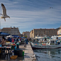 The Vieux Port in Marseille