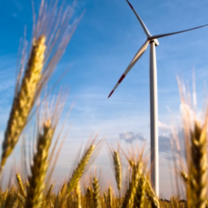 renewable energy