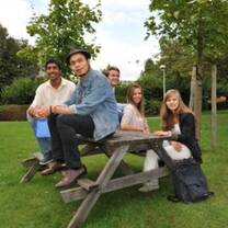 Vesalius College students