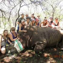 Veterinary Volunteers 