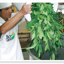 Bioland Industry 