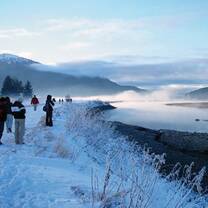 Biomes of the World, Arctic Sea, Norway