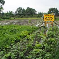 Visit to an Organic Farm