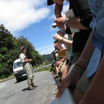 students learning in new zealand