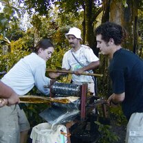 ICADS Spanish students try their hand on a sugar cane press.  ICADS students learn about sugar cane and its historical role in Costa Rica.