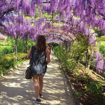 CAPA Study and Intern Abroad in Florence Italy