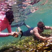 MANTA Marine science abroad