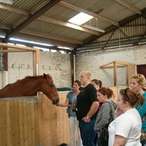 Study in Scotland with Adelante Study in Scotland equine program with Adelante