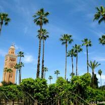Green palm trees and a bell tower reach into the blue sky