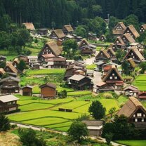 Japanese Scenery
