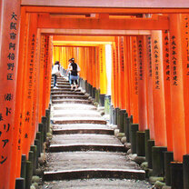 Athena Study Abroad in Kyoto, Japan
