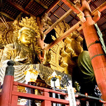 Study Abroad in Kyoto, Japan
