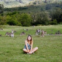 Kangaroos at the University of Canberra Campus! Kangaroos live on the University of Canberra Campus!