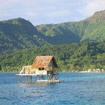 Tahitian Pearl Farm Tahitian hut in the water