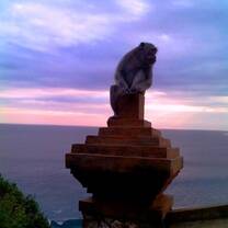 Beautiful Scenery with a monkey