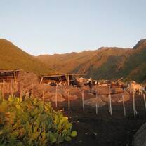 Argentina Gap Year