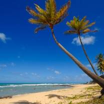 ITTT TEFL Brazil
