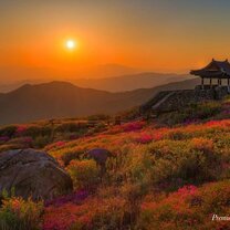 Korean Horizons sunset in South Korea