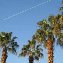 TEFL Egypt