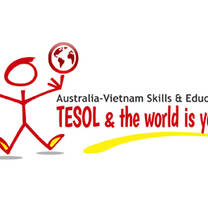 AVSE logo
