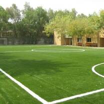 Teach at the American School of Kuwait