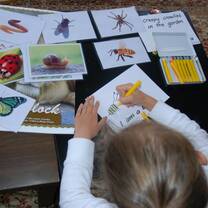 Teaching Jobs in Austria with Seddwell Learning