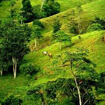 Farming Volunteer in Costa Rica