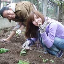 Volunteers For Peace volunteers in Vietnam