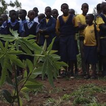 The Fruit Tree Planting Foundation Uganda