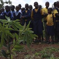 The Fruit Tree Planting Foundation Uganda