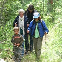 Forest trail