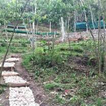 trail developing