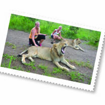Wildlife conservation