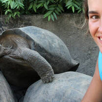 Volunteer Galapagos Turtle Centre