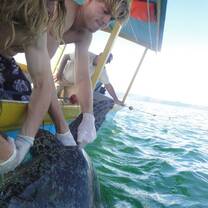in water turtle monitoring