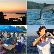 Volunteer for the last marine mammals in NE Adriatic, Mediterranean