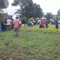 Jabez yearly field day for farmers