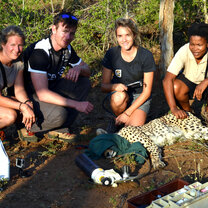 Small Volunteer Groups Small Volunteer Groups