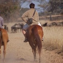 Horse riding game counts