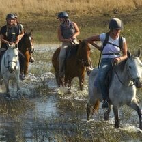 Horse riding Safari