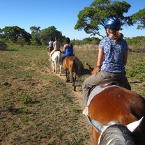Horse riding patrols