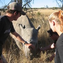Rhino conservation