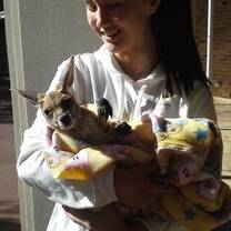 Photogenic volunteer and joey