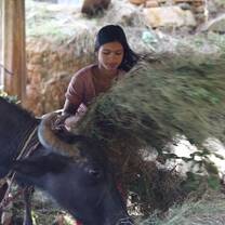 Organic Farming