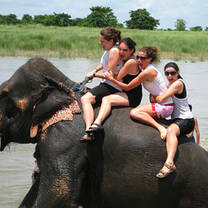 Elephant Care Volunteering in Nepal