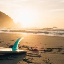 Surf and Marine Conservation Ecuador