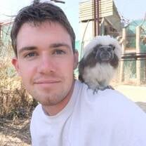 volunteer abroad, South Africa